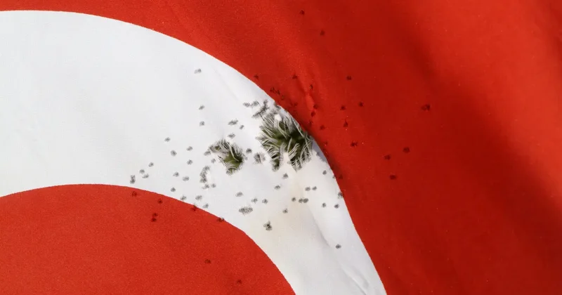 Türk bayrağına ateş edildi! Valilikten açıklama!