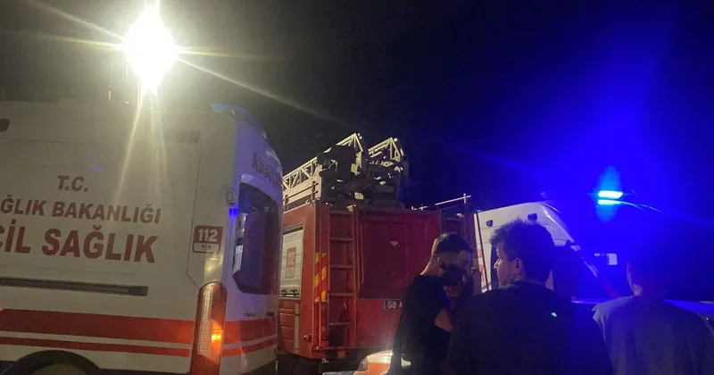 Ordu da 2 kardeşin cansız bedenleri bulundu!