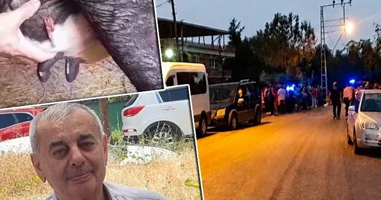 Samsun daki ölümlü silahlı kavgada şaşırtan detay: İneğin memesine mermi isabet etmiş
