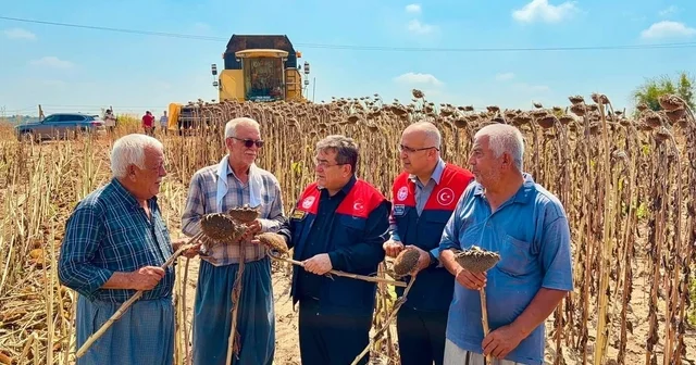 Tarsus ta ayçiçeğinde 4 bin 485 ton rekolte bekleniyor Mersin Haberleri Habertürk Yerel Haberler
