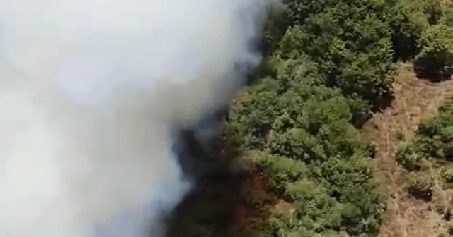 Bursa da bir orman yangını daha Yenişehir de orman dışı alandaki yangın ormana sıçradı, ekipler karadan havadan müdahale ediyor Bursa Haberleri Habertürk Yerel Haberler