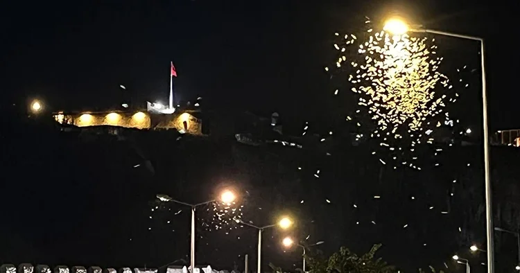Ardahan da beyaz kelebeklerin ölüm dansı başladı