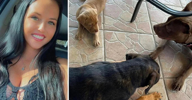 ABD de iki çocuk annesi kadın, eşi tarafından köpeğiyle ilişkiye girerken yakalandı