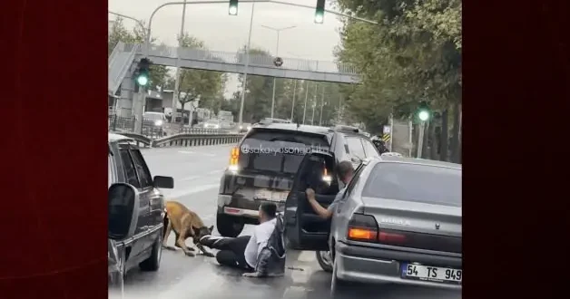 Sakarya da başıboş köpek dehşeti: Yürüyüşe çıkan vatandaşı yolda sürükledi