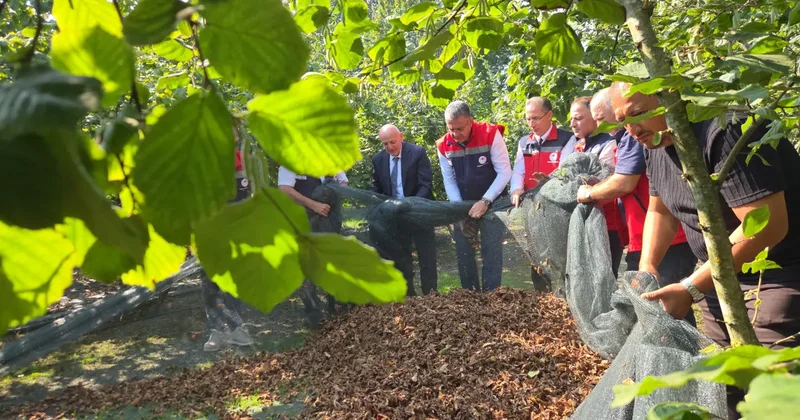 İşçilik maliyetini yüzde 70 düşüren yöntem! 60 işçi yerine 15 kişiyle hasat başladı