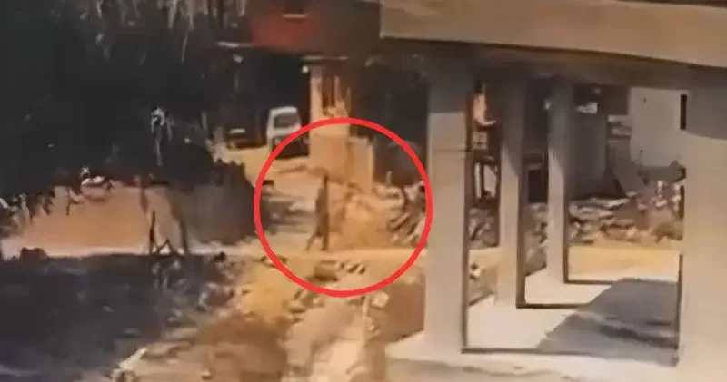 İnşaatta yatan köpeğe sopayla şiddet uyguladı; o anlar kamerada