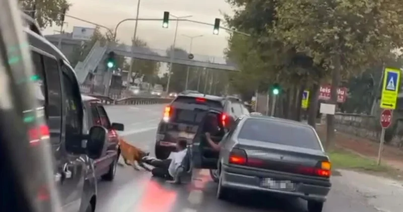 Son dakika haberler: Sakarya’da zinciri kopuk köpek yolda yürüyen adama saldırdı Son dakika haberleri
