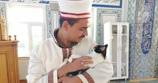 Hayvan sevgisiyle gönülleri kazandı: İmam kedileri leğende yıkayıp camide bakıyor VİDEO İZLE