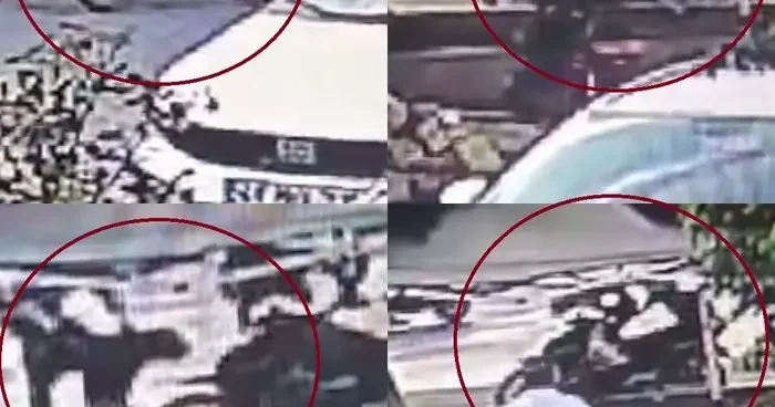 Mersin’deki köpek dehşetinde yeni görüntüler ortaya çıktı: İki saldırıda kamerada