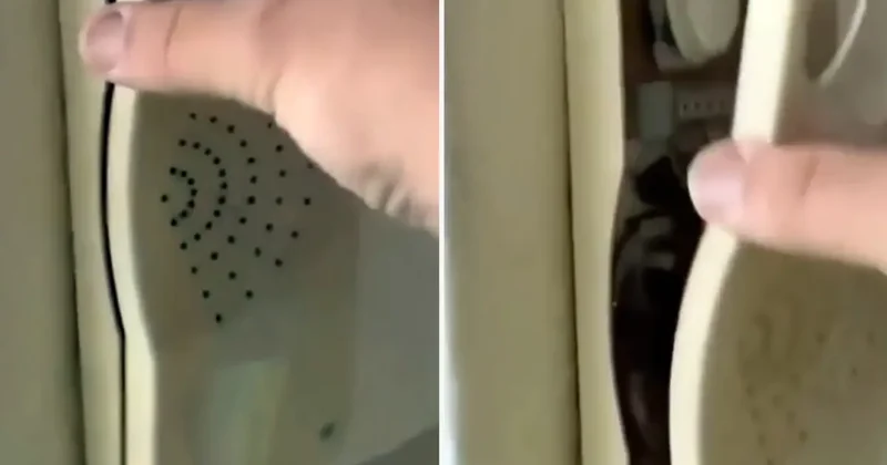 Kapı zilini söktü, gördükleri karşısında küçük dilini yuttu