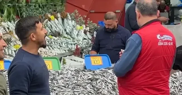Karadeniz bereketi tezgahlarda: Hamsi fiyatı 300 liradan 100 liraya düştü VİDEO İZLE