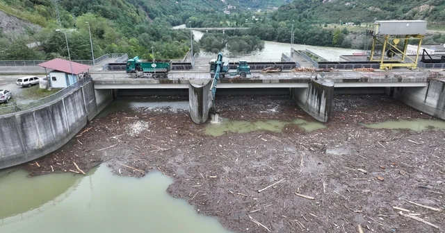 Baraj gölünde sel sularının sürüklediği odunlar temizleniyor Artvin Haberleri