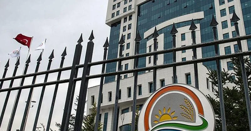Tarım ve Orman Bakanlığı 15 müfettiş yardımcısı alacak