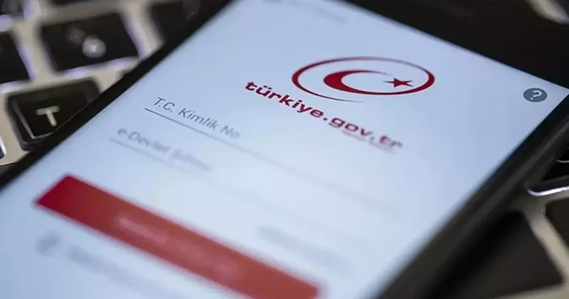 E Devlet te yeni dönem! Hizmeti duyan platforma akın ediyor