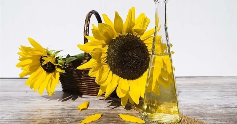 Ayçiçeği yağı için Rusya dan gümrük vergisi kararı