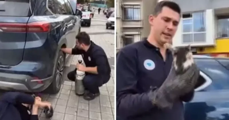 Kediyi otomobilden çıkarmak için hava tüpü kullandılar