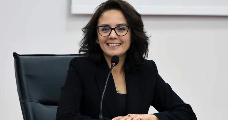 Menteşe Belediye Başkan Aras’ın ailesinin evine saldırı: Valilik hedefin farklı olduğunu açıkladı