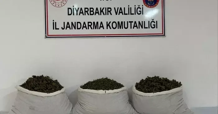 Diyarbakır da uyuşturucu operasyonları! 15 kilogram skunk ele geçirildi
