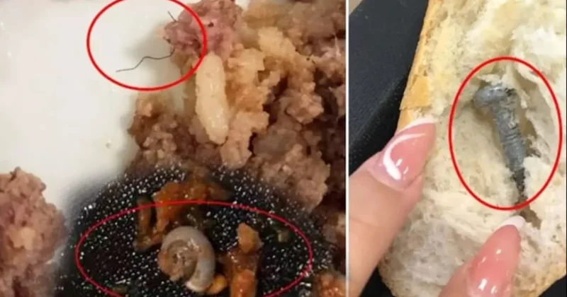 Salyangozlu patates, cıvatalı menemen, kıllı ciğer tava, vidalı ekmek... Önce siz yiyin beyler! Sözcü Gazetesi