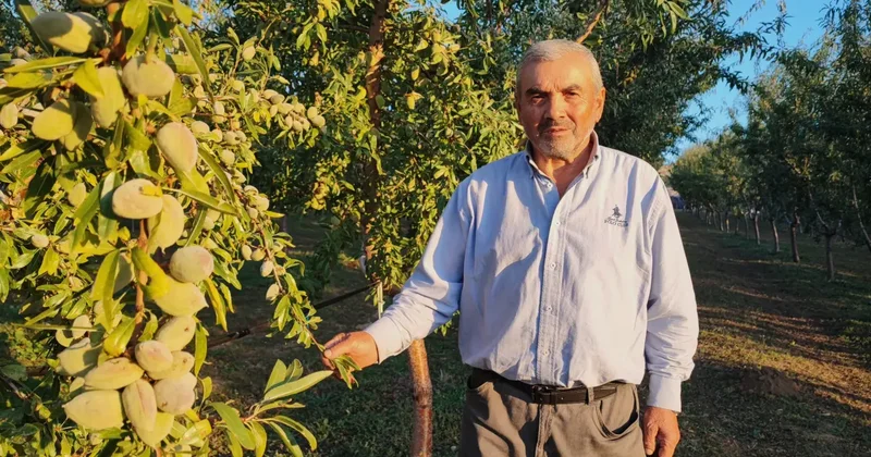 Doktorun tek tavsiyesiyle Almanya yı bırakıp Yozgat a taşındı
