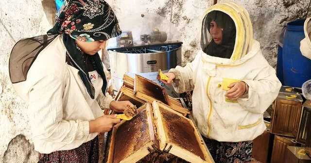 Çam balının başkenti Muğla da glikozlu bal tepkisi Muğla Haberleri Habertürk Yerel Haberler