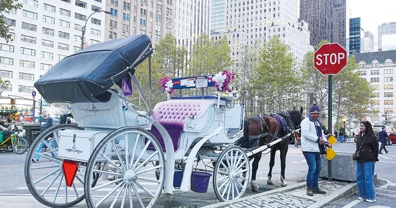 New York’ta faytona yasak