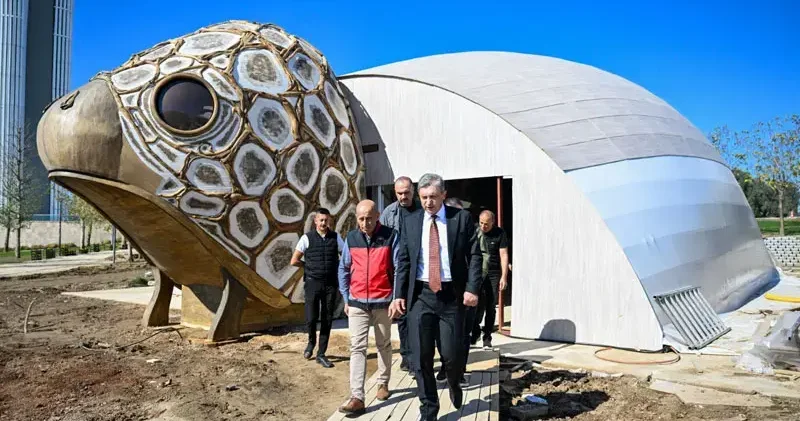 COP31 in maskotu caretta caretta için pavilyon tasarlandı