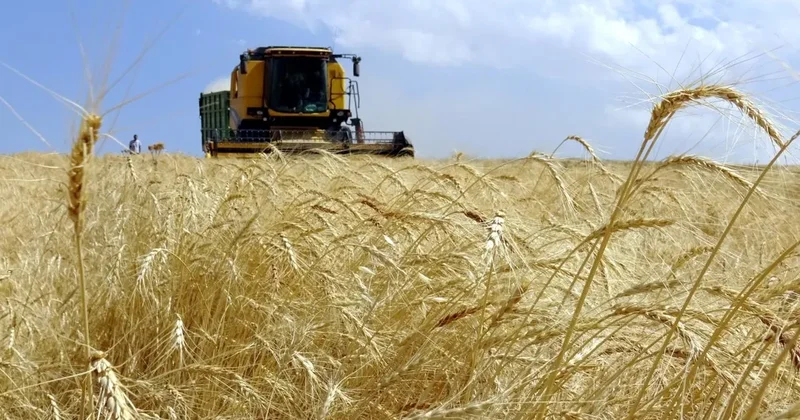 TARSİM 478 bin hasar ihbarı aldı: Tarımda 1,5 trilyon TL lik güvence