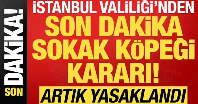 İstanbul Valiliği nden son dakika sokak köpeği kararı! Artık yasaklandı...