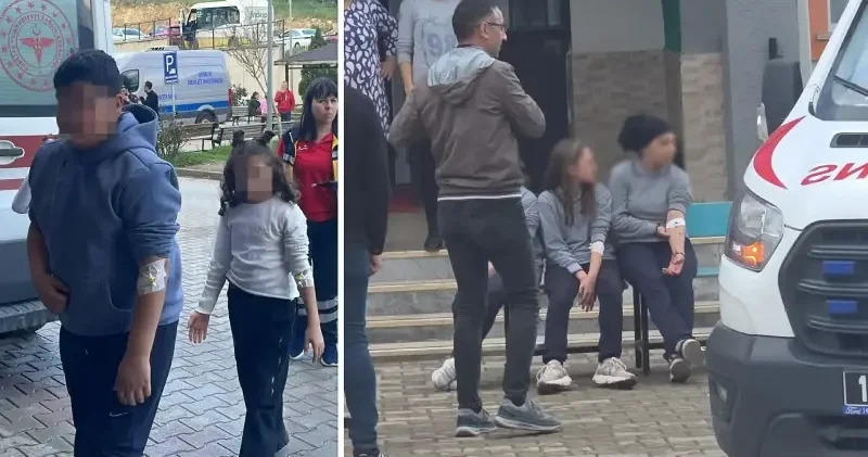 Şinitzel ve makarna yiyen 20 öğrenci mide bulantısı ve karın ağrısı yaşamaya başladı: Okula çok sayıda sağlık ekibi sevk edildi Bursa Haberleri