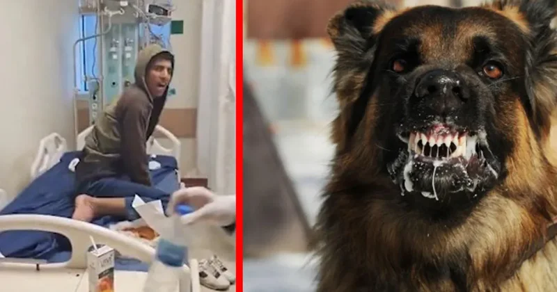 SON DAKİKA: Kuduzdan hayatını kaybetti! 17 yaşındaki Hasan ın son görüntüleri ortaya çıktı! Suyu görünce