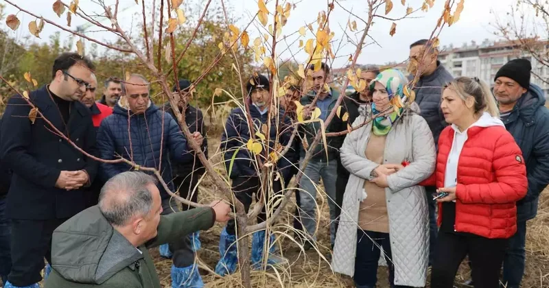 Elazığ’da ağaç budama ve aşılama eğitimi