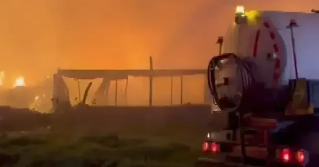 İzmir de belediyenin çöp toplama alanında çıkan yangın hızla büyüdü: Söndürme çalışmaları devam ediyor VİDEO İZLE