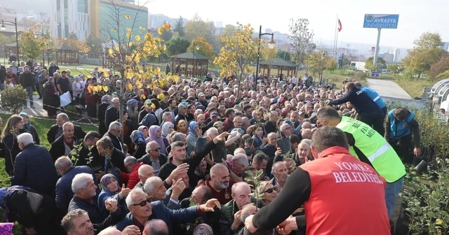 Dağıtılan elma ve armut fidanlarından almak için birbirleri ile yarıştılar Trabzon Haberleri