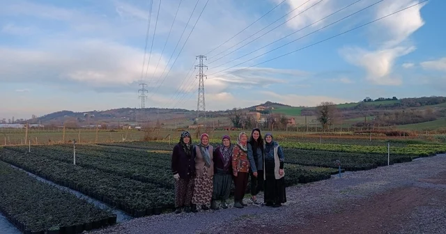 Baba mesleğini süs bitkileri ihracatı ile sürdüren mühendis Nihal, kadın çiftçilerle çalışıyor Yalova Haberleri