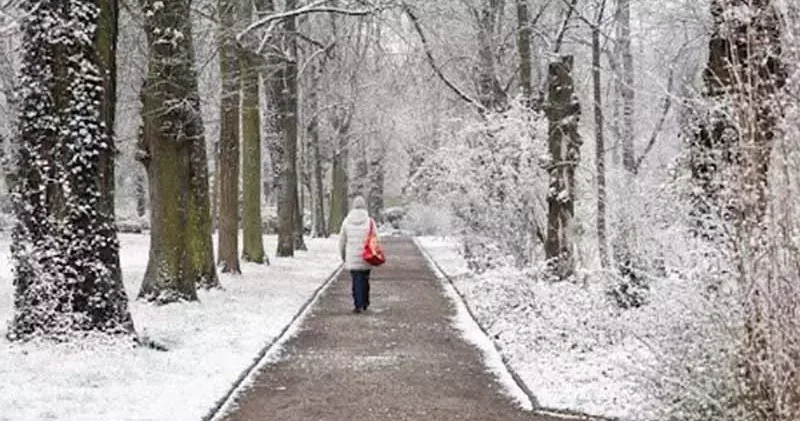 Almanya da kar yağışı trafik kazalarına neden oldu: 3 ölü