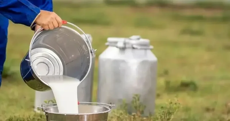 Türkiye nin çiğ süt üretimi artış gösterdi Ekonomi Haberleri