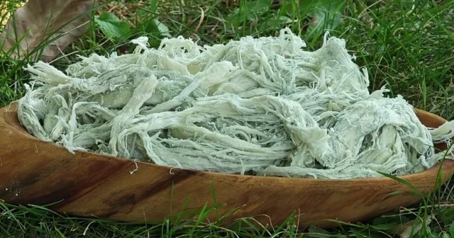 Yayladan sofraya doğal antibiyotik: Erzurum un göğermiş peyniri Erzurum Haberleri