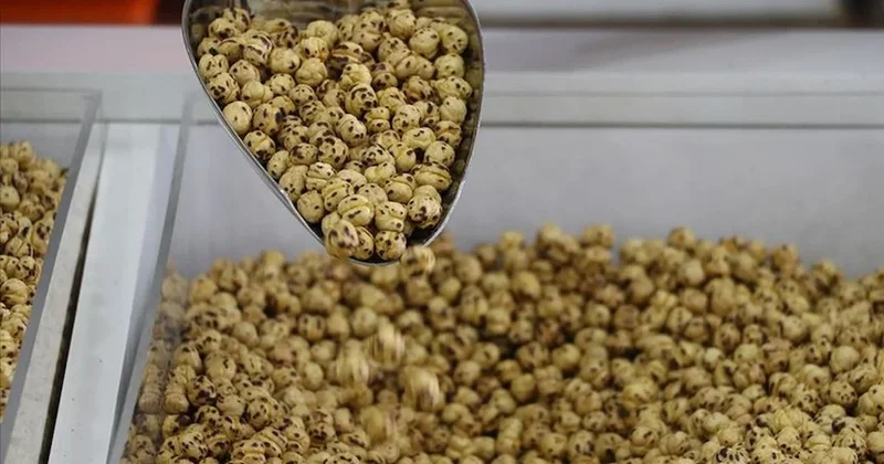 Nohutta üretim düştü leblebi fiyatı fırladı Sözcü Gazetesi