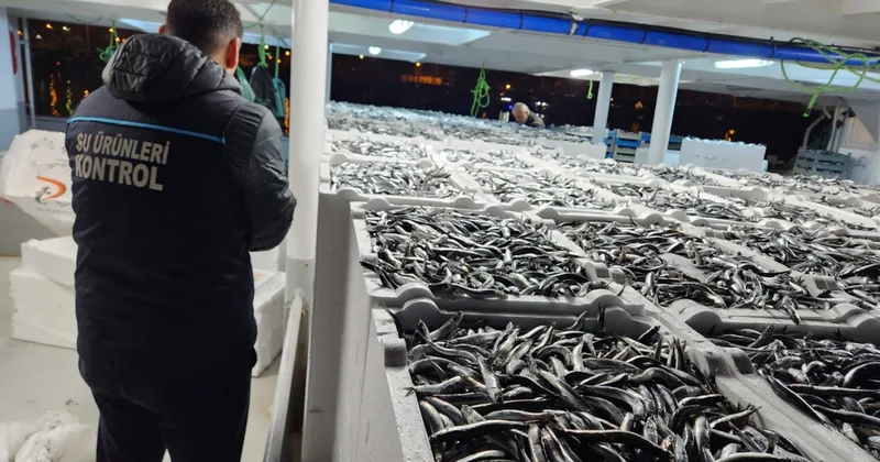 Hamside son 4 yılın en büyük bolluğu: Fiyatlar çakıldı, tezgâhlara akın başladı Sözcü Gazetesi