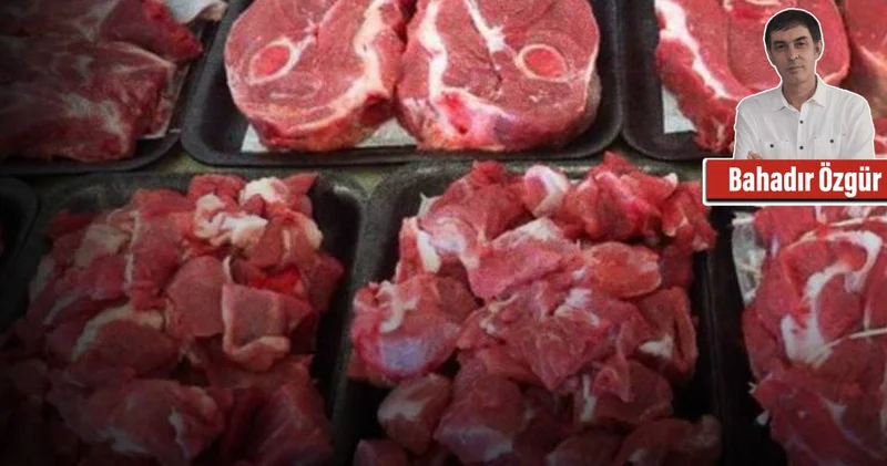 Milyonlarca Euro tek şirkete gitti: Sığır ithal, satıcısı yerli!