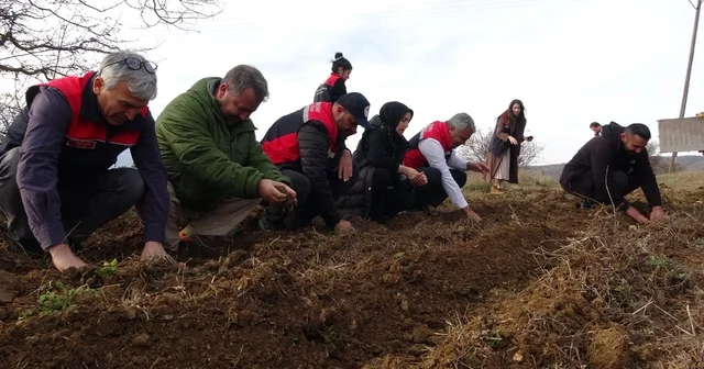 Kastamonu da kadınlara güç veren proje: 38 bin fide dağıtımı yapıldı Kastamonu Haberleri