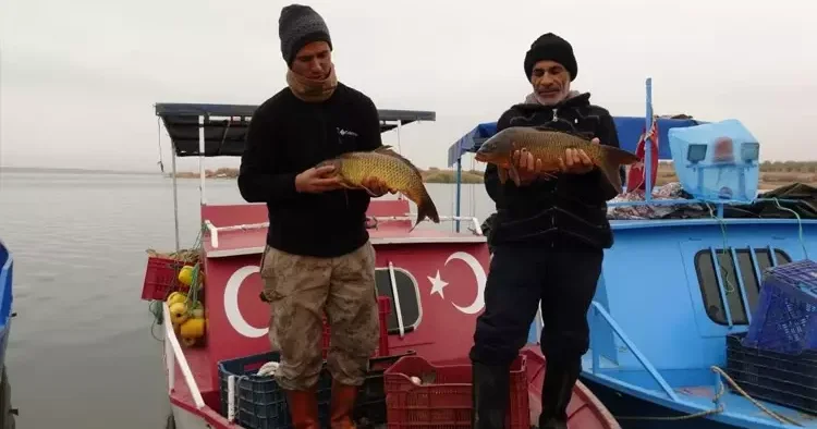 Deniz olmayan kentten tonlarca balık ihracatı!