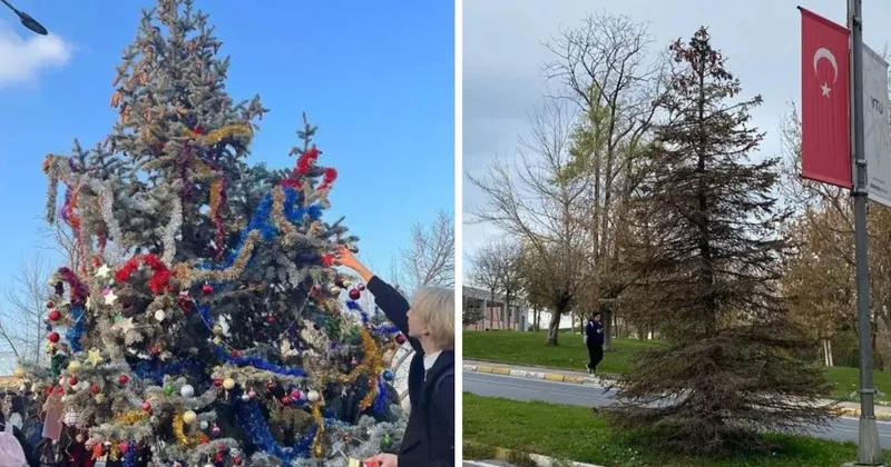 Yıldız Teknik Üniversitesi nde öğrencilerin yılbaşı ağacını kezzap atıp kuruttular Sözcü Gazetesi