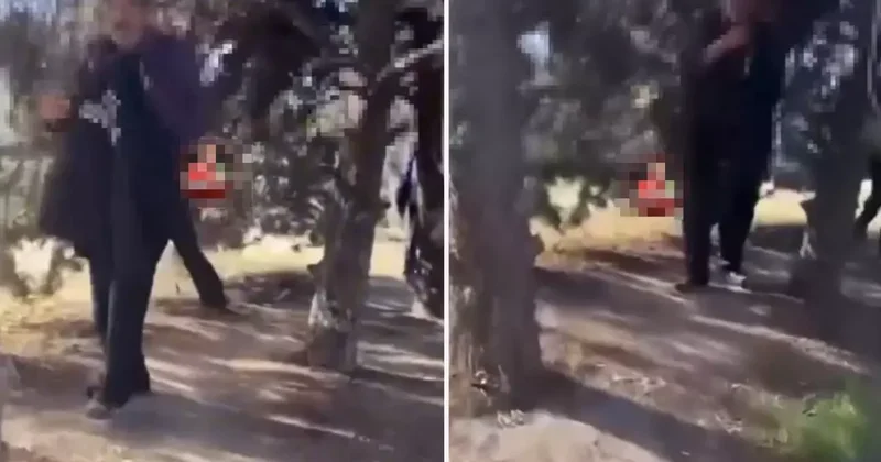 Mide bulandıran iddia! Kamerayı görünce apar topar kaçtılar