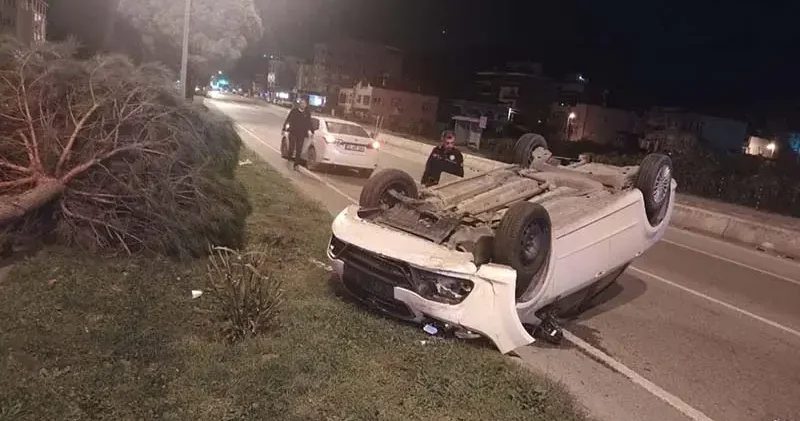 Otomobil, ağaca çarpıp ters döndü; 1 yaralı