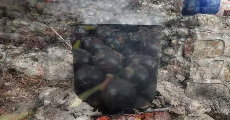 Fiyatı 400 liradan 1000 liraya çıktı: Yerlilerin geçim kaynağı Sözcü Gazetesi