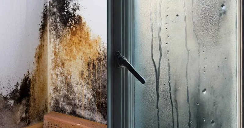 Evdeki küf ve pencerelerdeki buğulanma artık olmayacak: Uzmanlardan altın tavsiye Sözcü Gazetesi