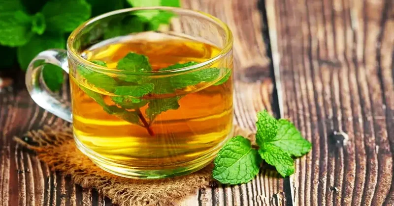 İçmeyen pişman: Kanı temizliyor, demir depolarını dolduruyor!