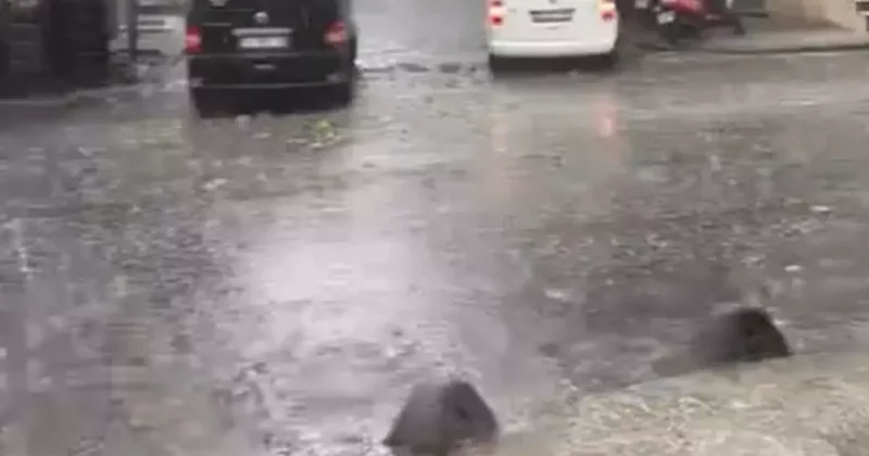 İstanbul dolu yağışı etkili oldu